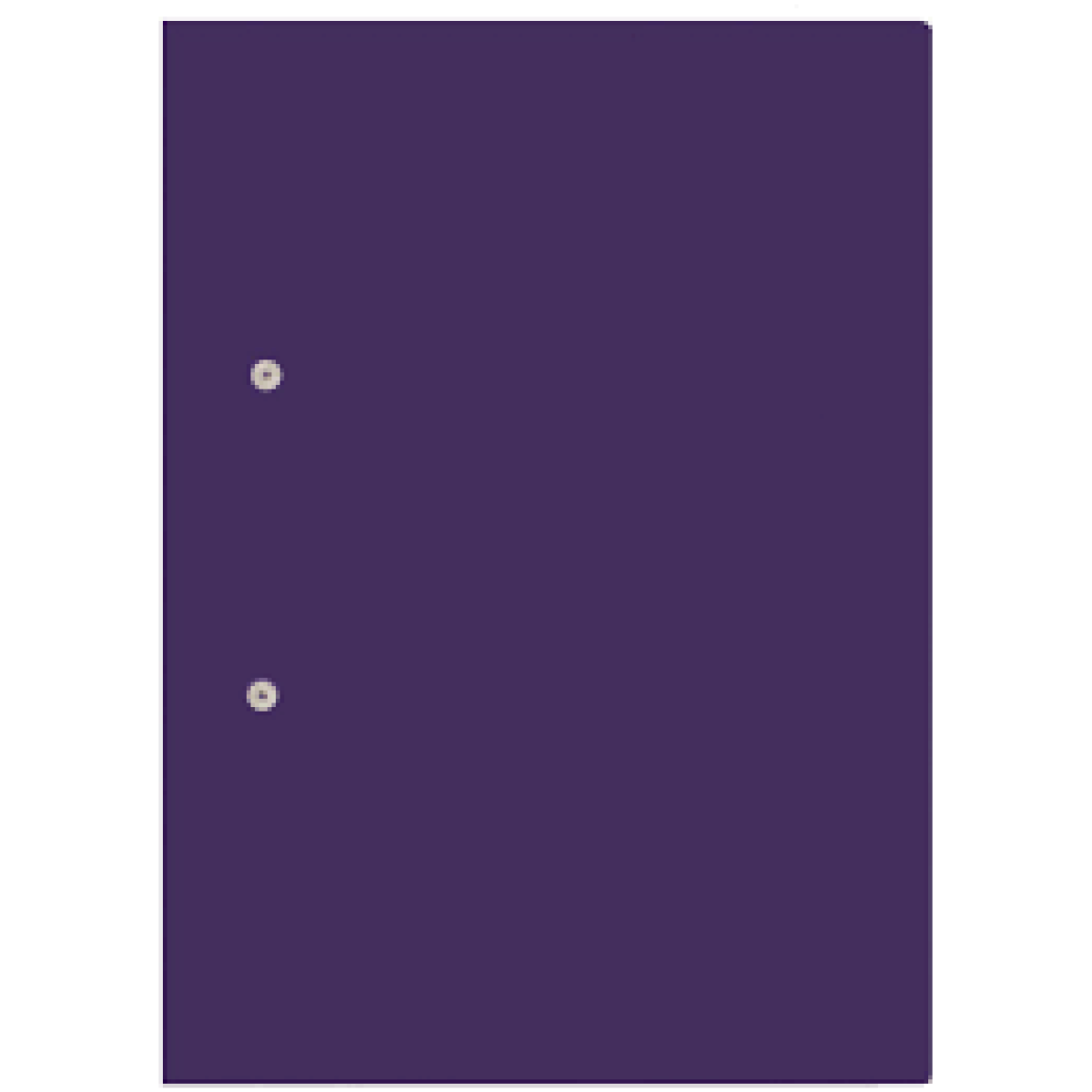 Accessible Files - Purple