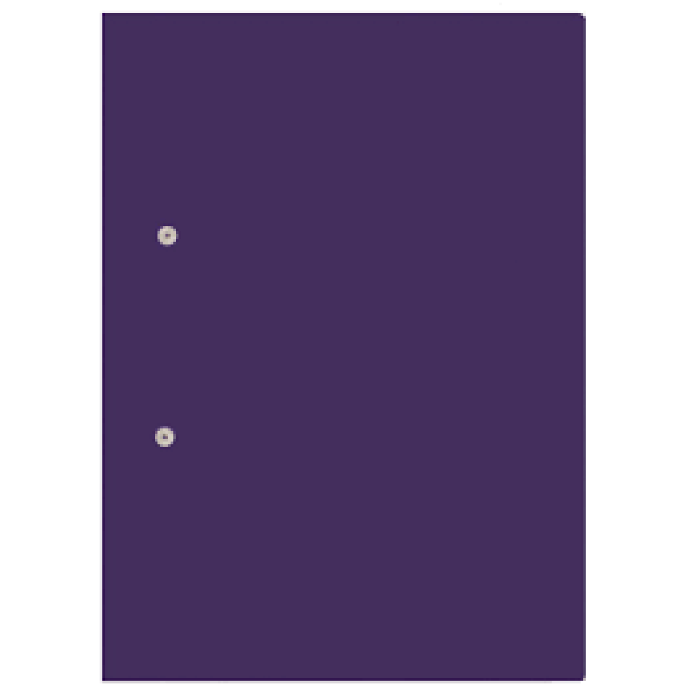 Accessible Files - Purple
