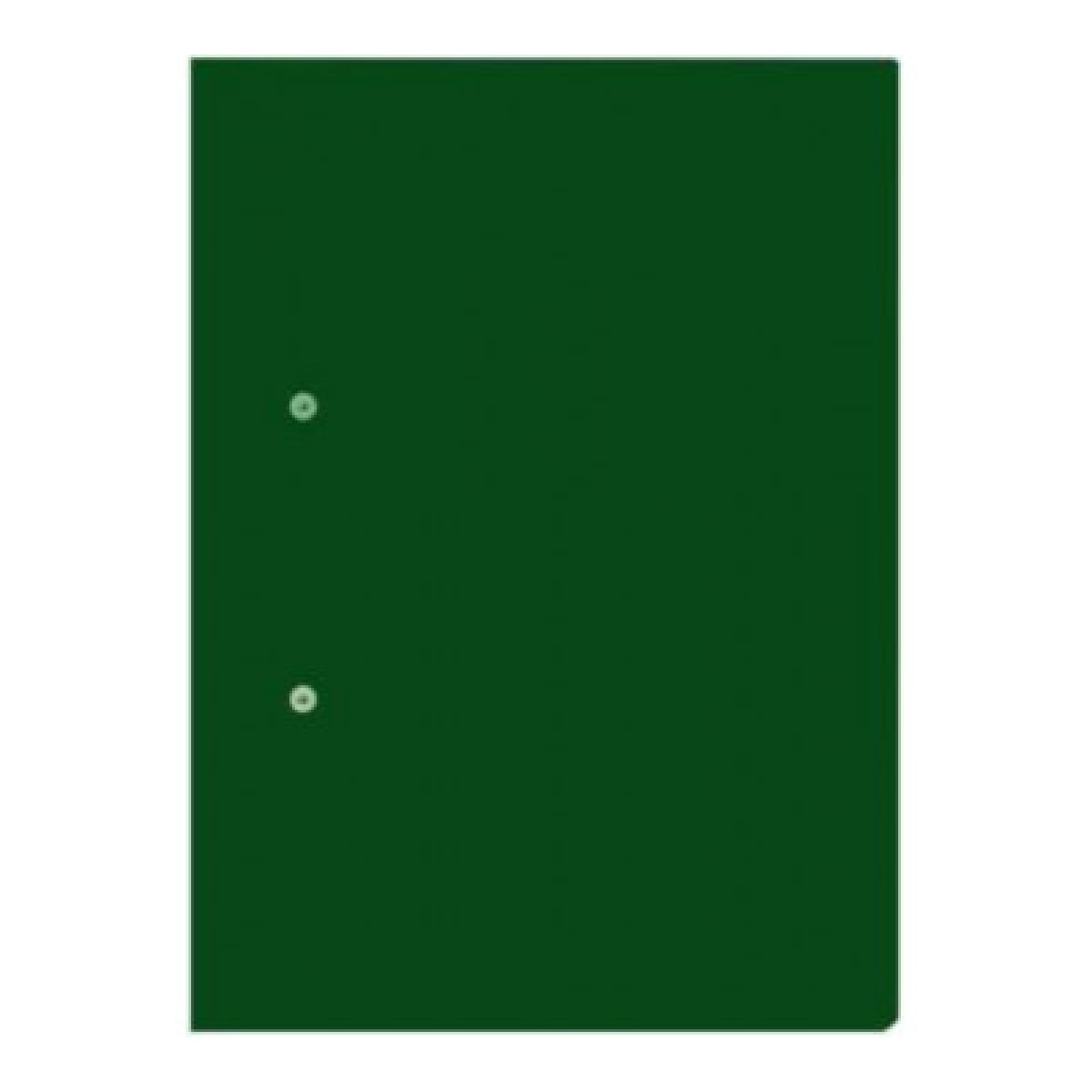 Accessible Files Green