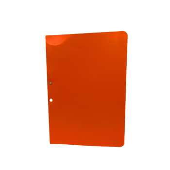 Accessible Files Orange