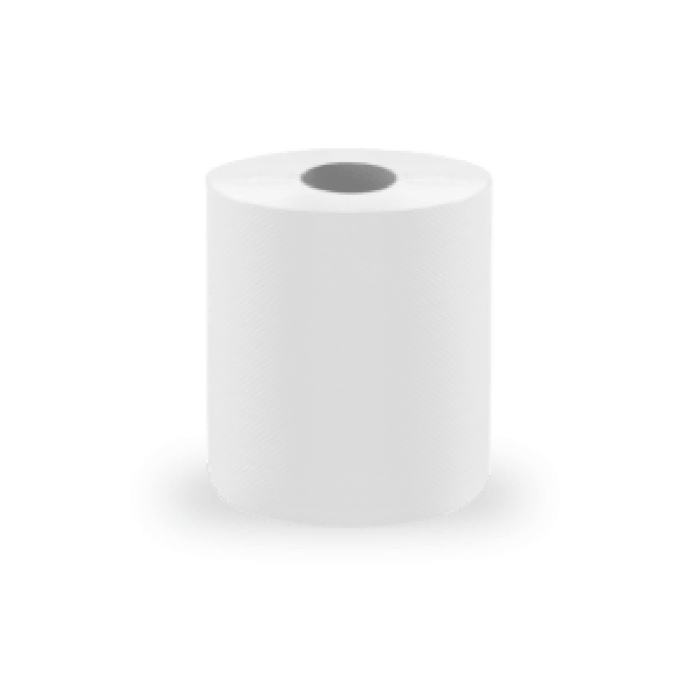 Toilet Paper Twin Ply Virgin Paper
